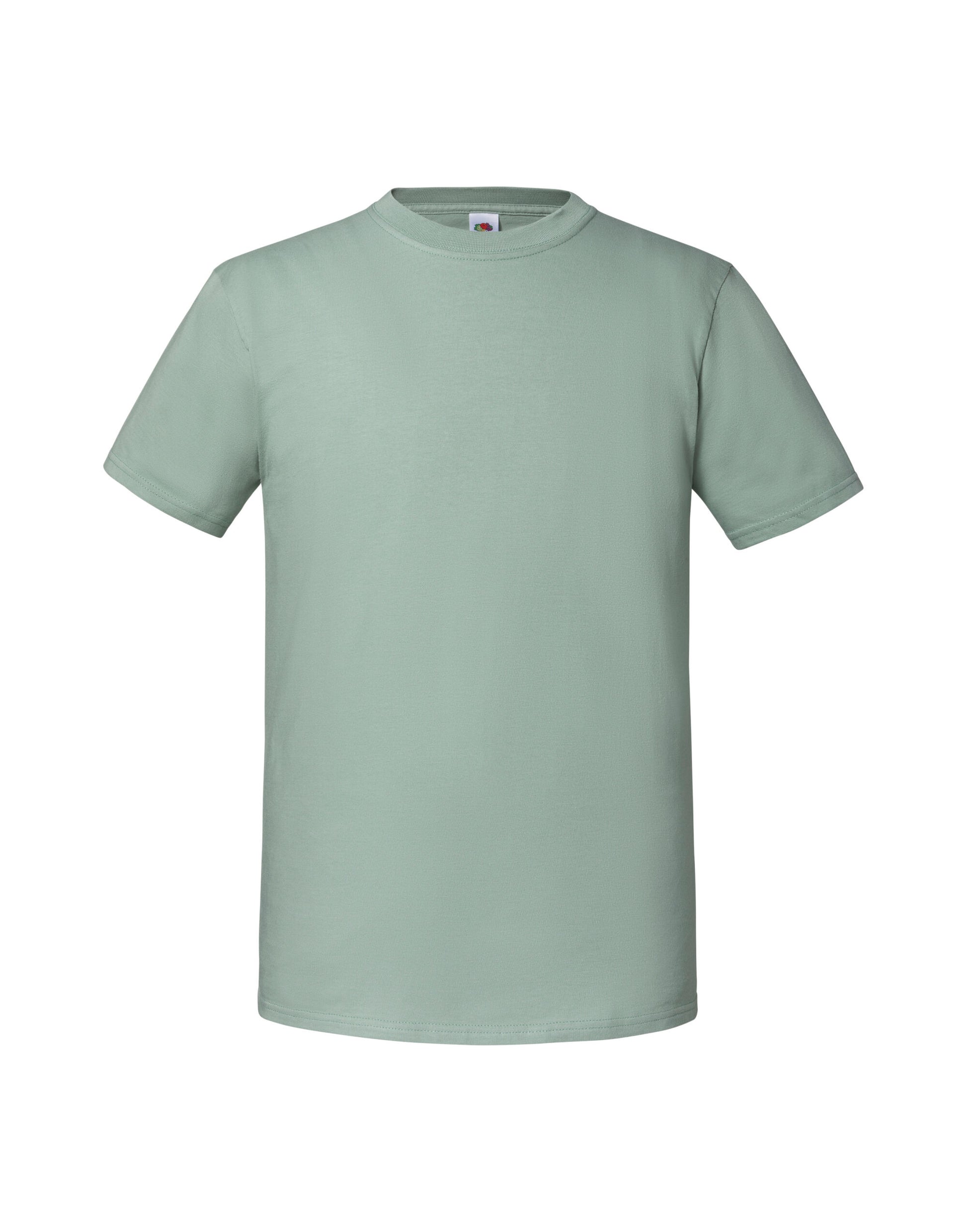 FOTL Mens Ringspun Premium T