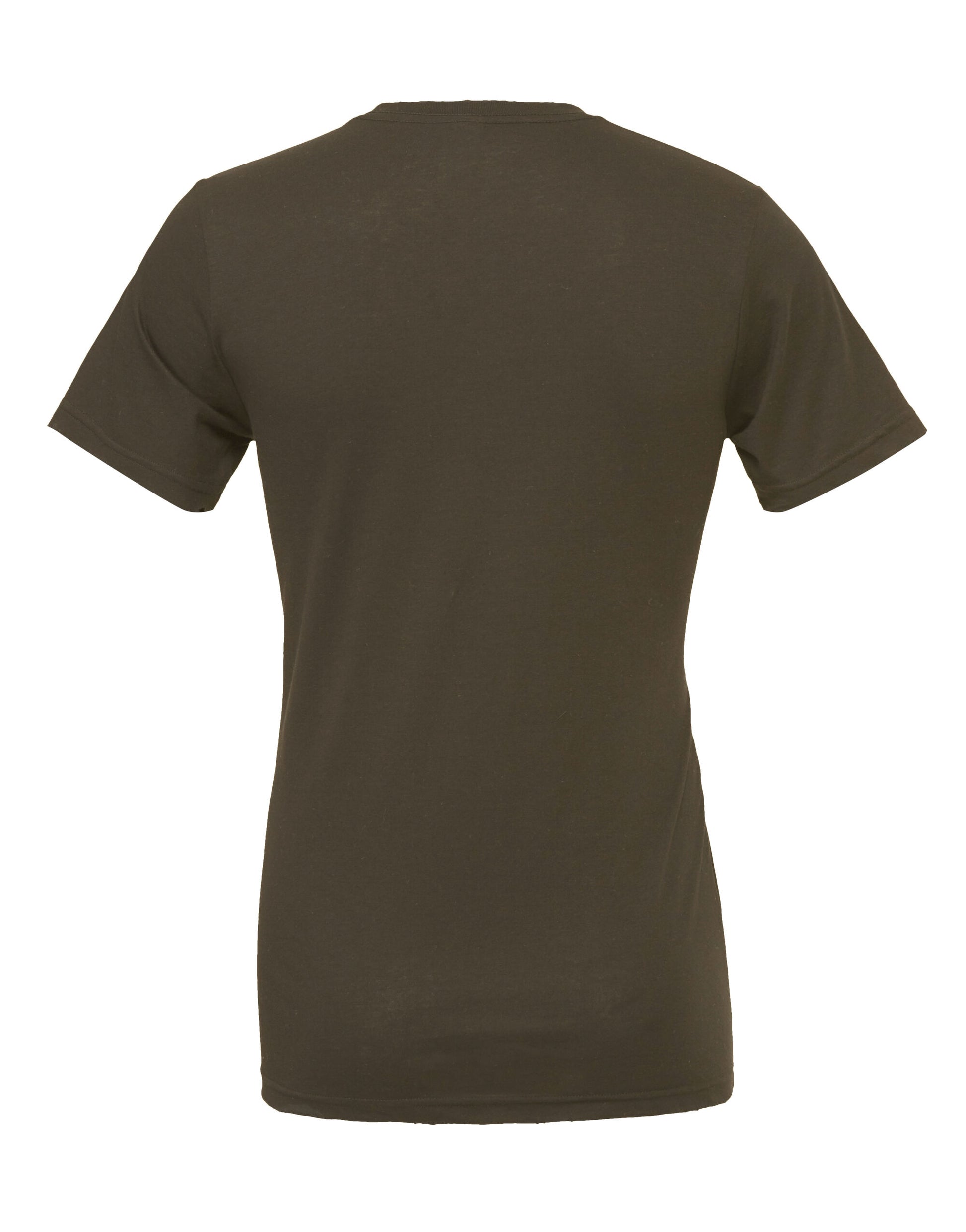 Canvas Unisex Jersey Short Sleeve Tee