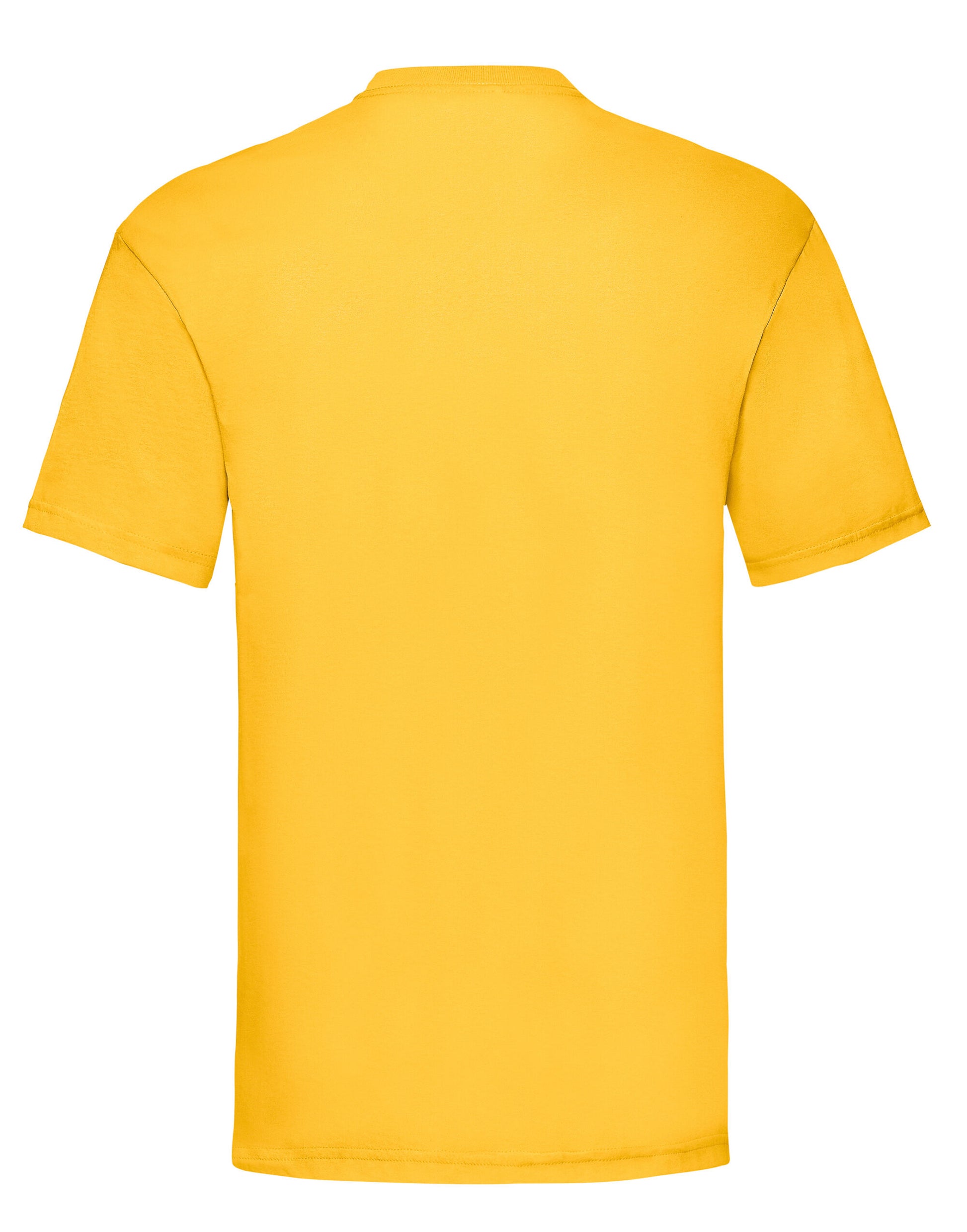 FOTL Mens Valueweight T