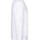 FOTL Mens Classic Raglan Sweat