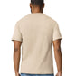 Gildan Softstyle Midweight Adult T-Shirt