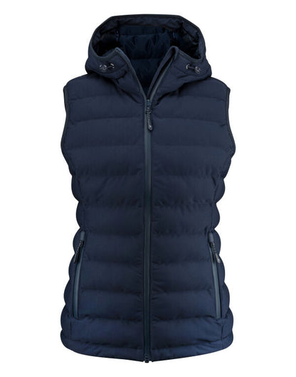 James Harvest Woodlake H Ladies Vest