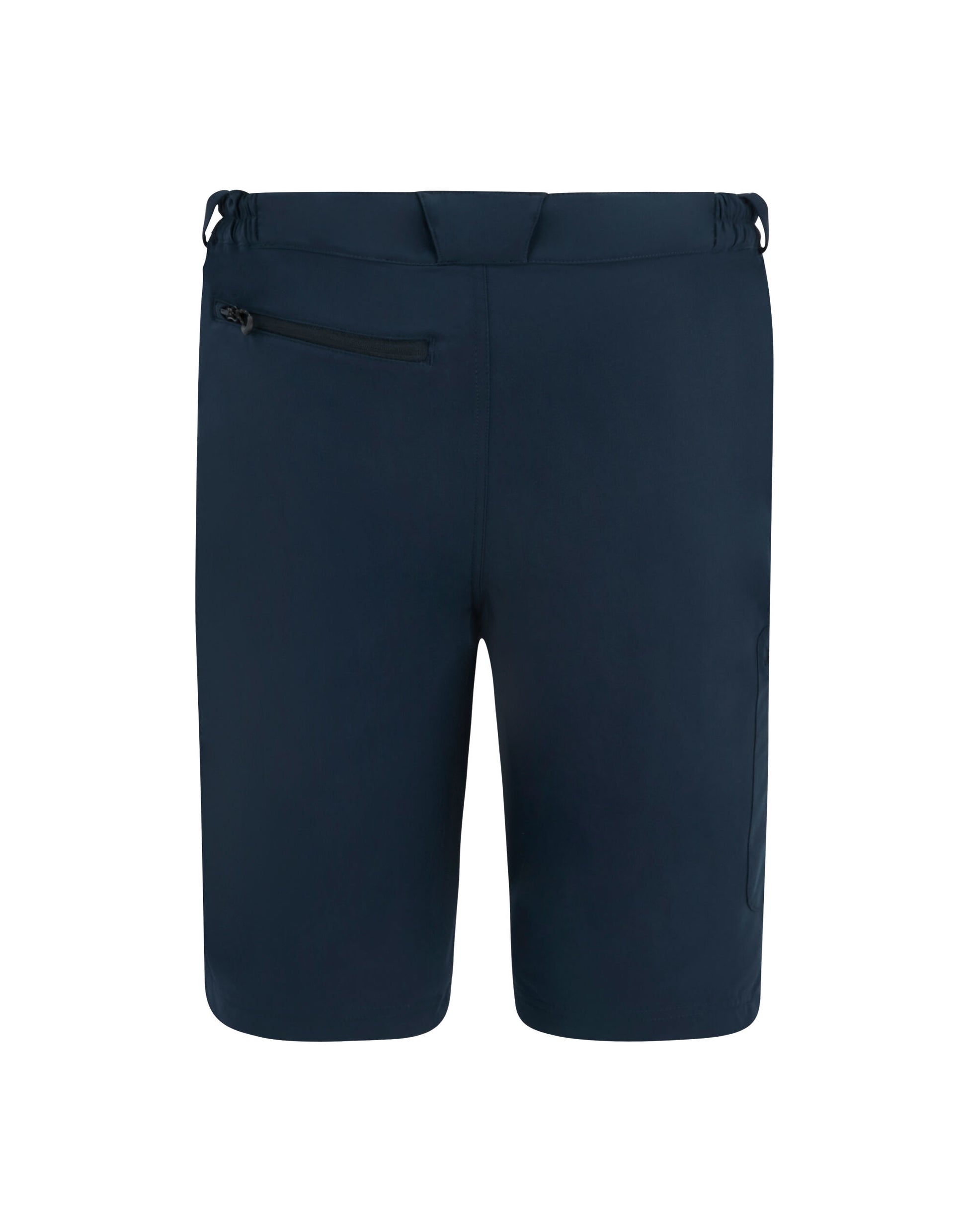 Regatta Prolite Stretch Shorts