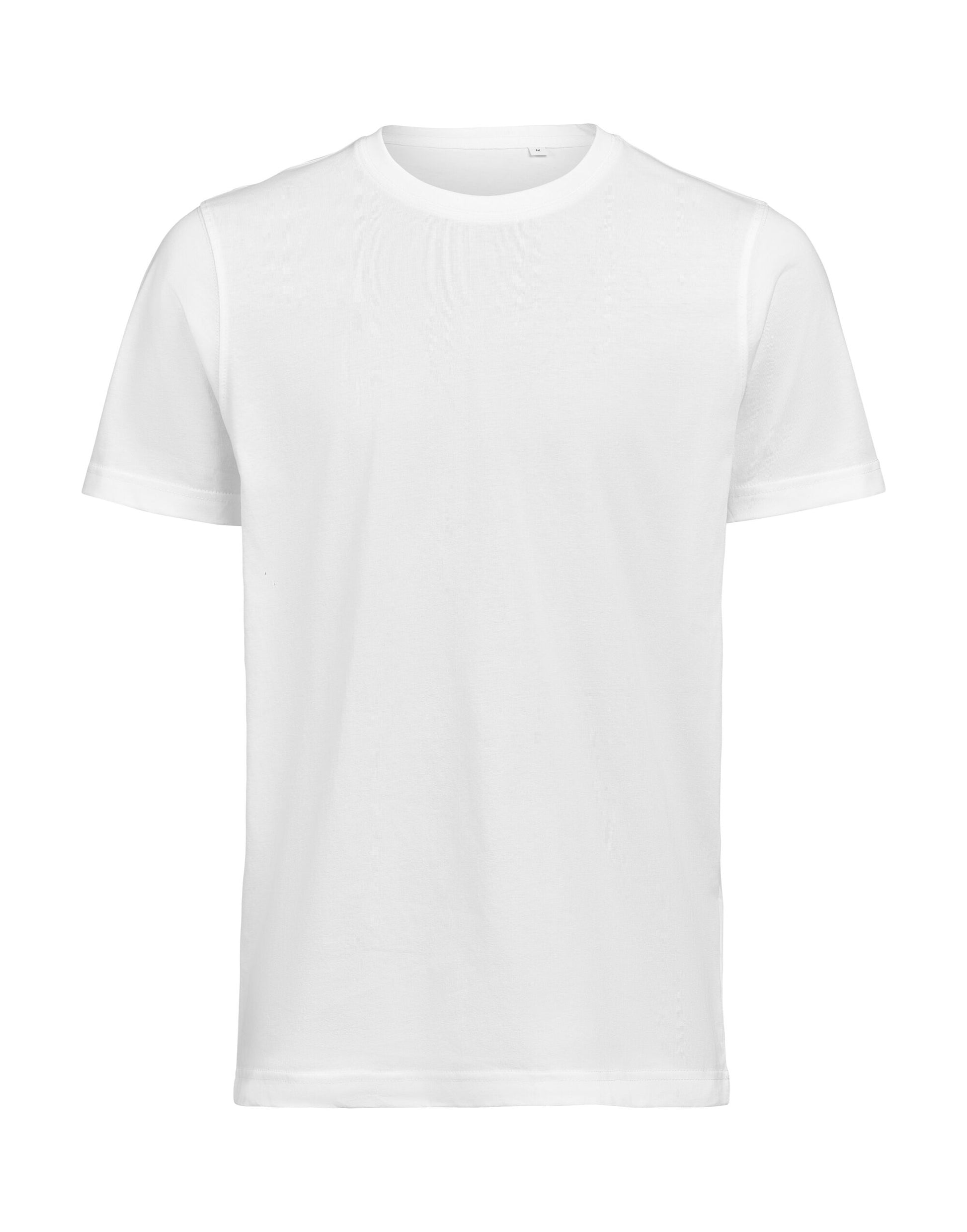 UM T-Shirt Regular Fit OCS