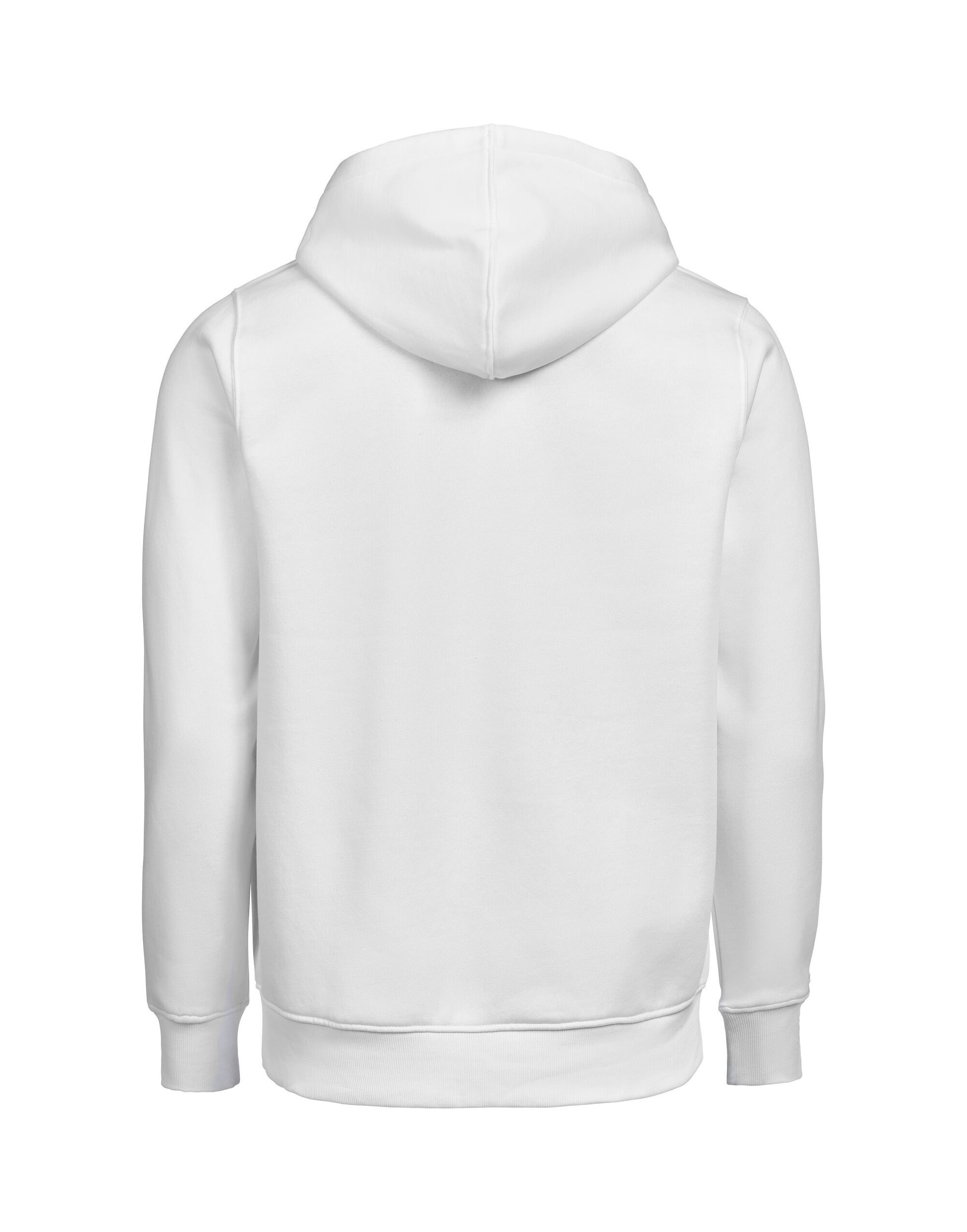 UM FZ Hoodie Regular Fit OCS/RCS