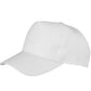 Result Core Boston 5 Panel Printers Cap